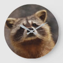 Recherche de horloge curieuse horloges Raton laveur