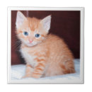 Zoek naar leuke katten tegels Katje