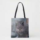 Recherche de renard arctique sacs Alaska