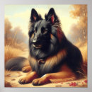 Recherche de tervuren posters Chiot