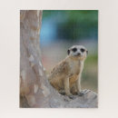 Recherche de meerkat puzzles Faune