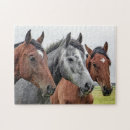 Zoek naar paarden puzzels Boerderij