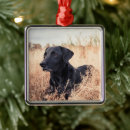 Zoek naar zwart labrador ornamenten Schattig