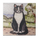 Recherche de et mon chat carreaux Chat de smoking
