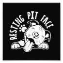 Recherche de race de chien posters Chiot