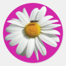 Recherche de shasta autocollants Fleur