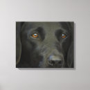 Zoek naar zwart labrador kunst Hond