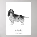 Zoek naar engelse cocker spaniël posters Canine
