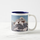 Recherche de noah tasses Arche