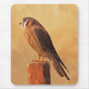 Recherche de art fauconnerie tapis souris Oiseau