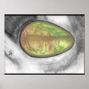 Zoek naar avocado kunst Vrucht