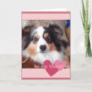 Recherche de berger australien vœux cartes Amour