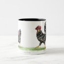Recherche de poulets tasses Animaux familiers