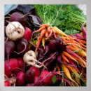 Recherche de carottes posters Soupe