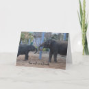 Zoek naar olifant verjaardagskaarten Beste vriend