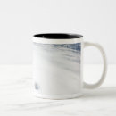 Recherche de ouragans tasses Catastrophe