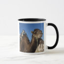 Recherche de sahara tasses Afrique