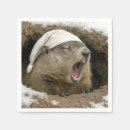 Recherche de marmotte serviettes Faune