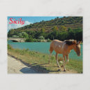Recherche de avec chevaux cartes postales Campagne