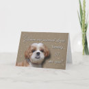 Zoek naar 51ste verjaardagskaarten Hond