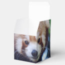 Recherche de panda ballotins Faune