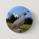 Recherche de caille badges Oiseau