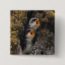 Recherche de hirondelle badges Oiseau
