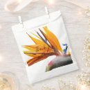 Recherche de surprise photographie Floral