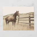 Recherche de chevaux cartes postales Cheval