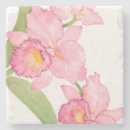 Recherche de fleur naturelle dessous de verres Orchidée