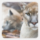 Recherche de menacé autocollants Animal