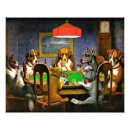 Recherche de poker posters Chiens jouant au poker
