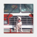 Recherche de terrier refrigérateur magnets Pitbull