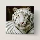Recherche de tigre blanc badges Faune