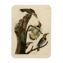 Recherche de ailes magnets Image
