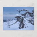 Recherche de aliens cartes postales Monstre