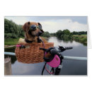 Recherche de humour de teckel Chien