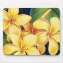Recherche de mousepad de ketmie électronique Hawaï