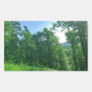 Recherche de vert forêt photographie Arbre