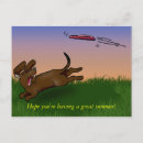Recherche de soucoupes cartes postales Chien
