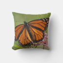 Recherche de habitat coussins Papillon
