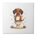 Recherche de toilette carreaux Chien