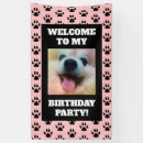 Zoek naar paws spandoeken Hond