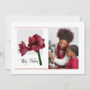 Recherche de amaryllis vœux cartes Élégant