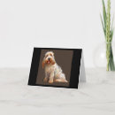 Zoek naar basset honden kaarten Huisdier