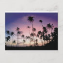 Recherche de bresil cartes postales Tropical