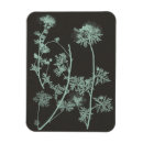 Recherche de étude magnets Botanique