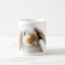 Recherche de holland tasses Lapin