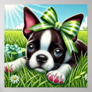 Recherche de boston terriers posters Amoureux des animaux