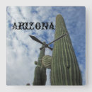 Recherche de cactus saguaro horloges Arizona